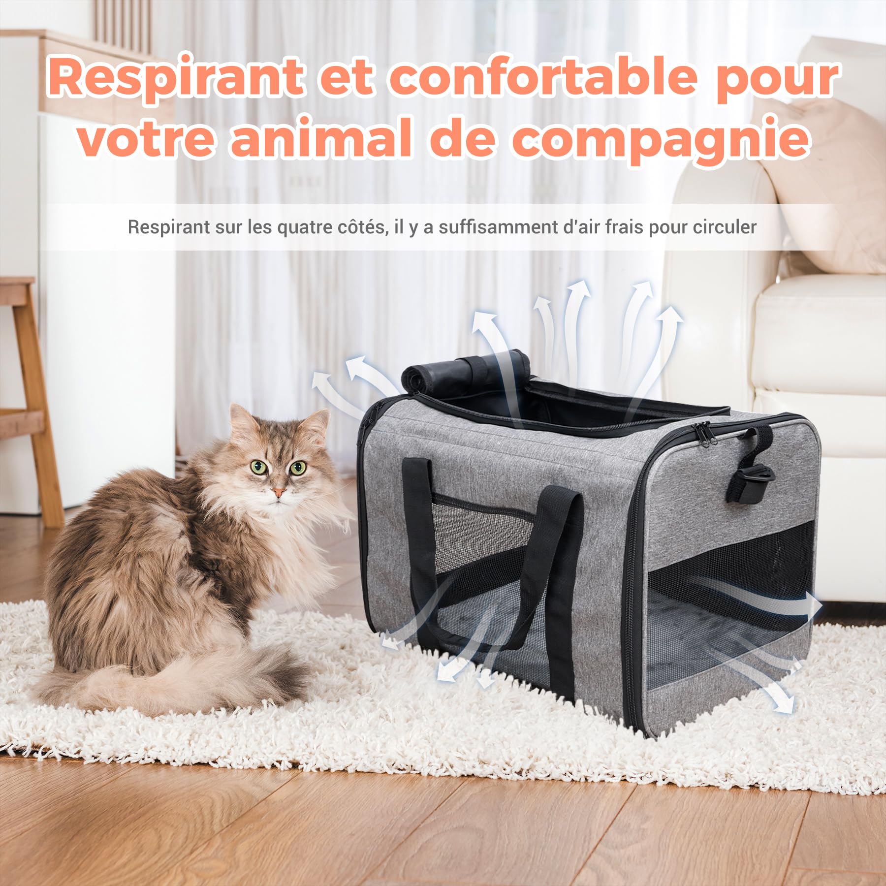 Sac Transport avec roulettes Amovibles pour Les Petits Chiens et Chats, Caisse de Transport Avion Cabine, Chariot pour Chien Charge jusqu'à 9kg (Gris)