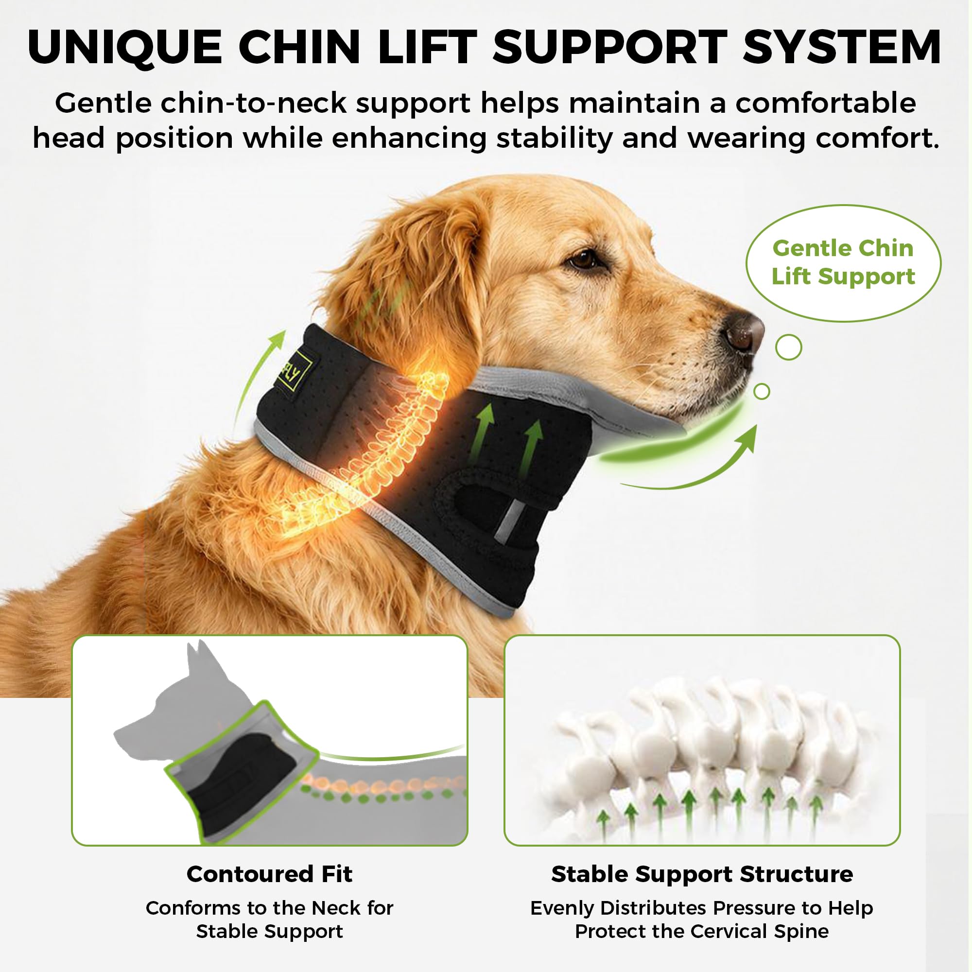 Photo 1 of KISFLY Dog Neck Brace - Medium - Black