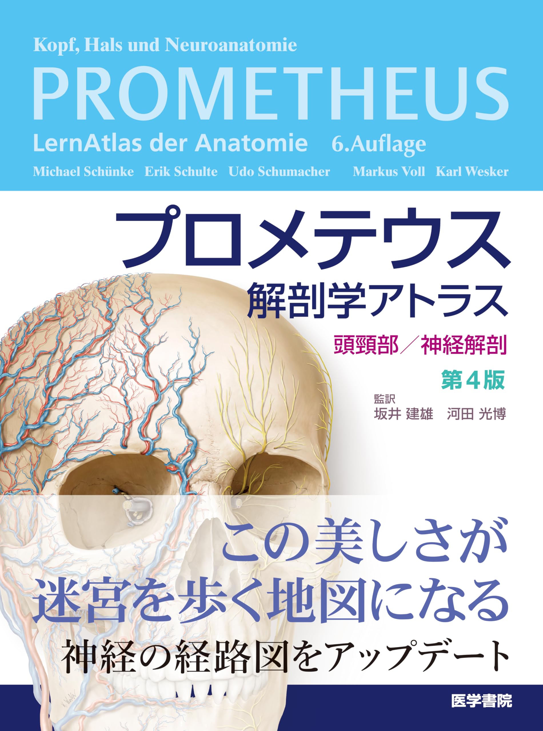 プロメテウス解剖学アトラス 頭頸部/神経解剖 プロメテウス解剖学アトラス 頭頸部/神経解剖 第4版 | 坂井 建雄, 河田