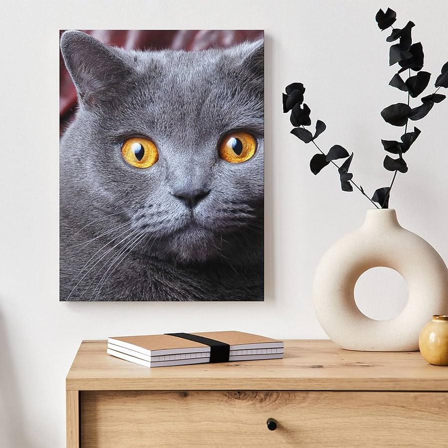 王冠をかぶった猫のアート絵画　ブリディッシュショートヘアー 王冠をかぶった猫のアート絵画ブリディッシュショートヘアー