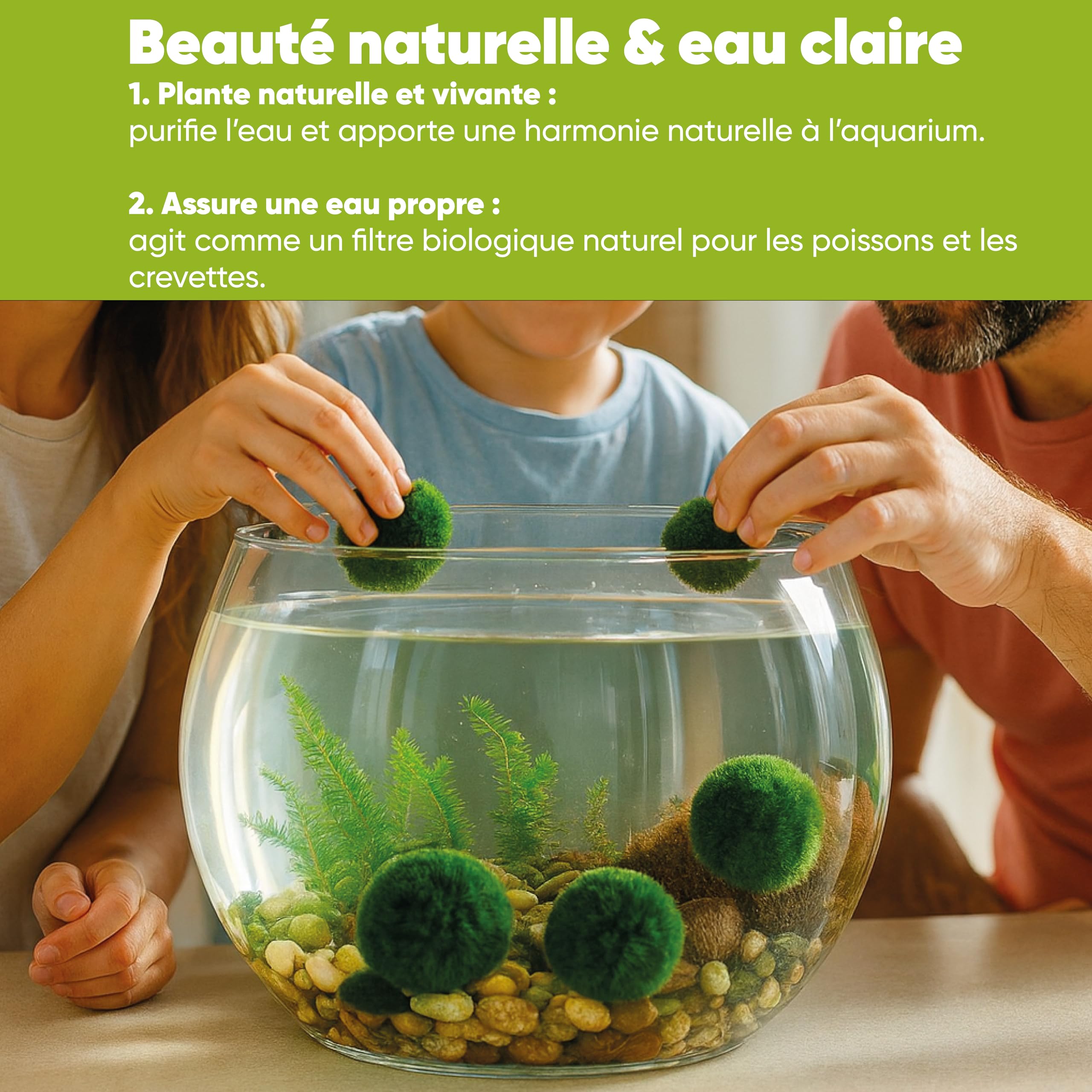 AquaBreedingSkill – Grand Format 3–4 cm – Lot de 7 Marimo Moss Balls – Plante Aquarium Vivante Naturelle | Filtre Biologique | Décoration Écologique | Entretien Facile | Idéal pour Nano Aquarium
