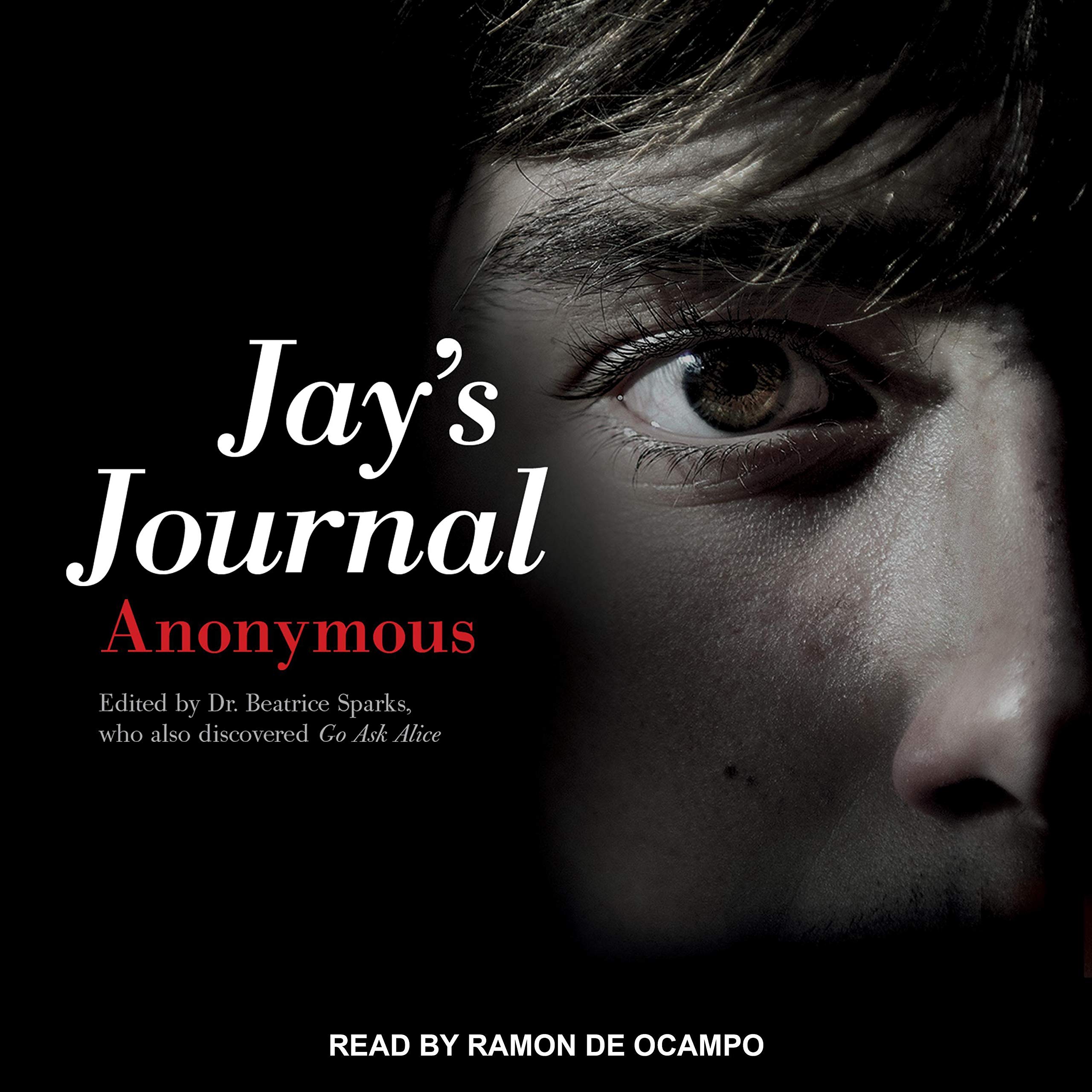 Cover art for Jay's Journal