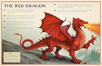 洋書 Hornbill and Dragon Hornbill and Dragon: Arts and Culture of Borneo | Bernard