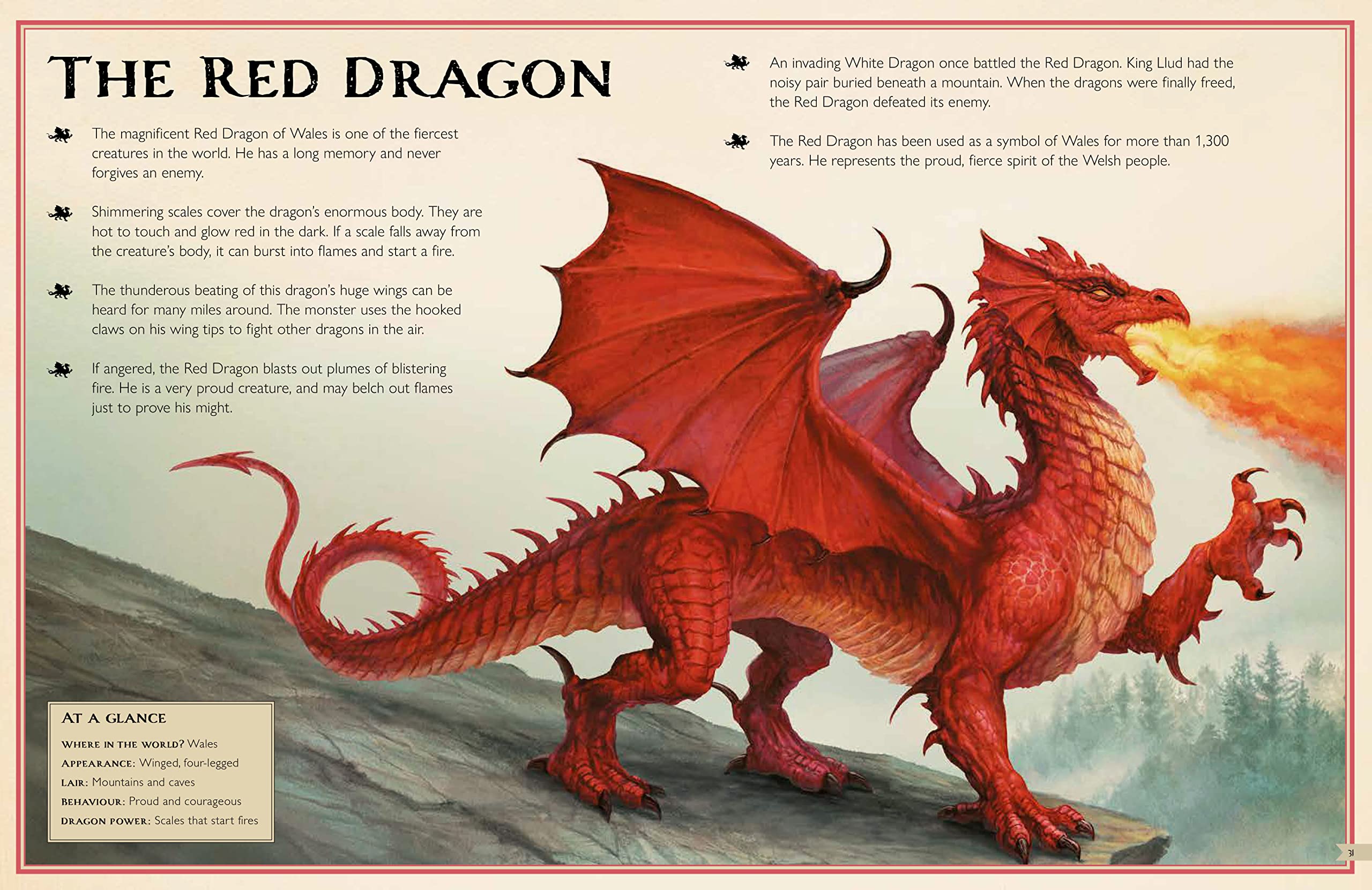 The Magnificent Book of Dragons