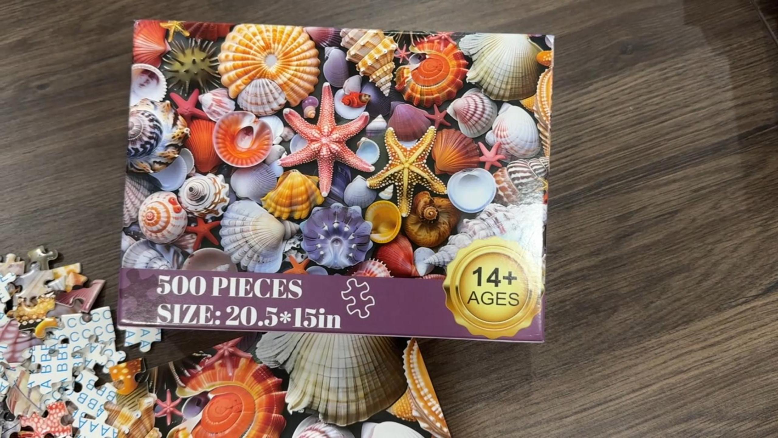 Amazon.com: 500 Pieces Jigsaw Puzzles for Adults–Colorful Beach