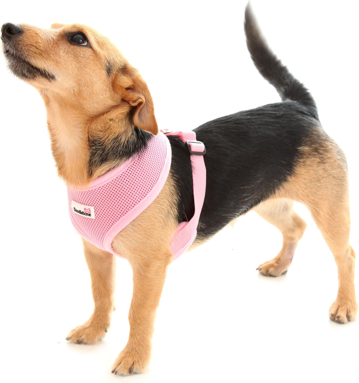 Doodlebone Dog Harness Pink Extra Small Pet Supplies
