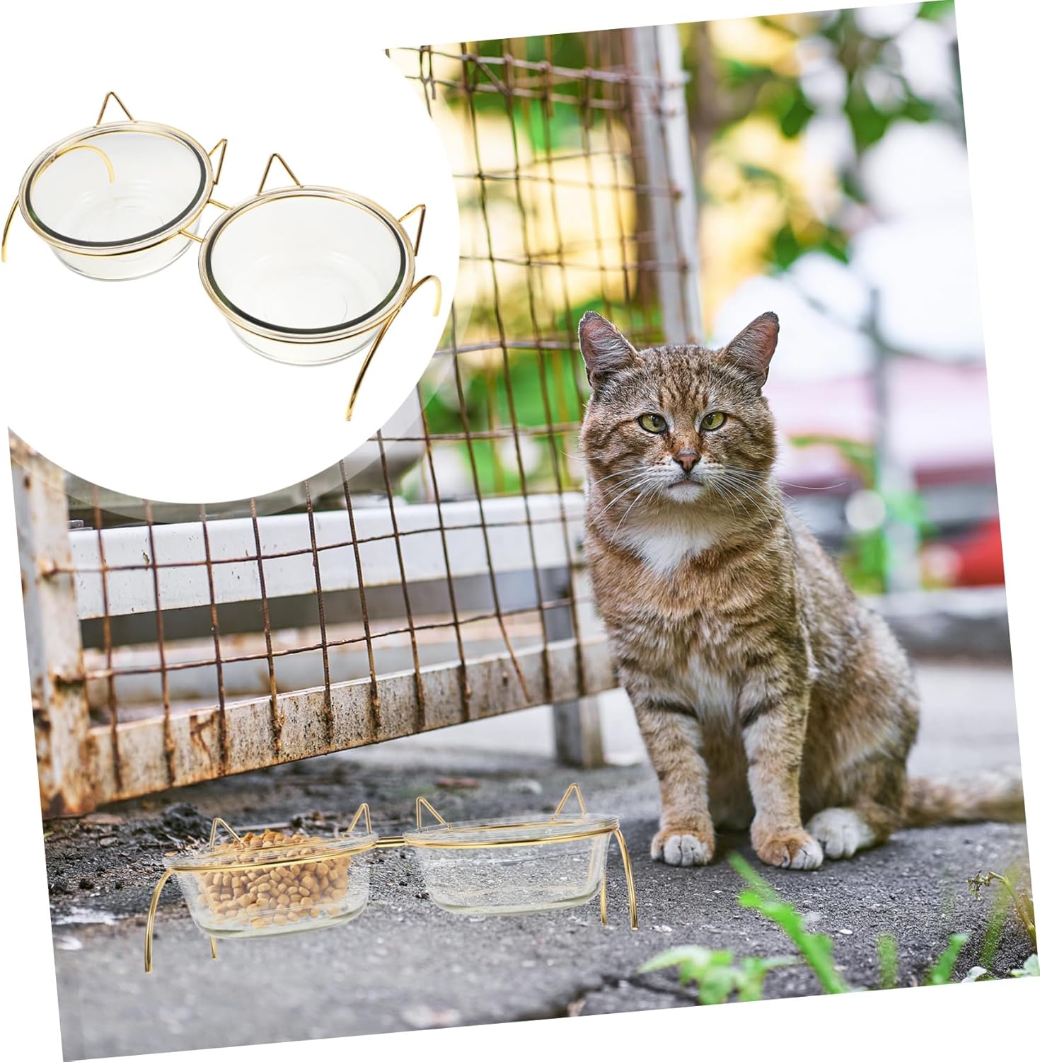 Tilted Transparent Cat Food Bowl with Double Bowls and Iron Stand Elevated Neck Protective Design Reduces Stomach Pressure Easy- pet Feeder for Cats and Pets