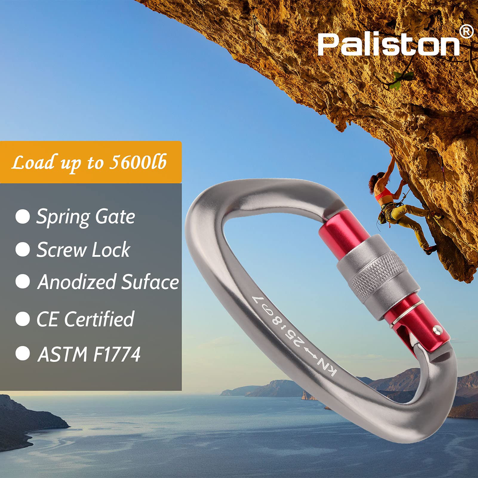 Classic Steel Oval Carabiner Straight Gate