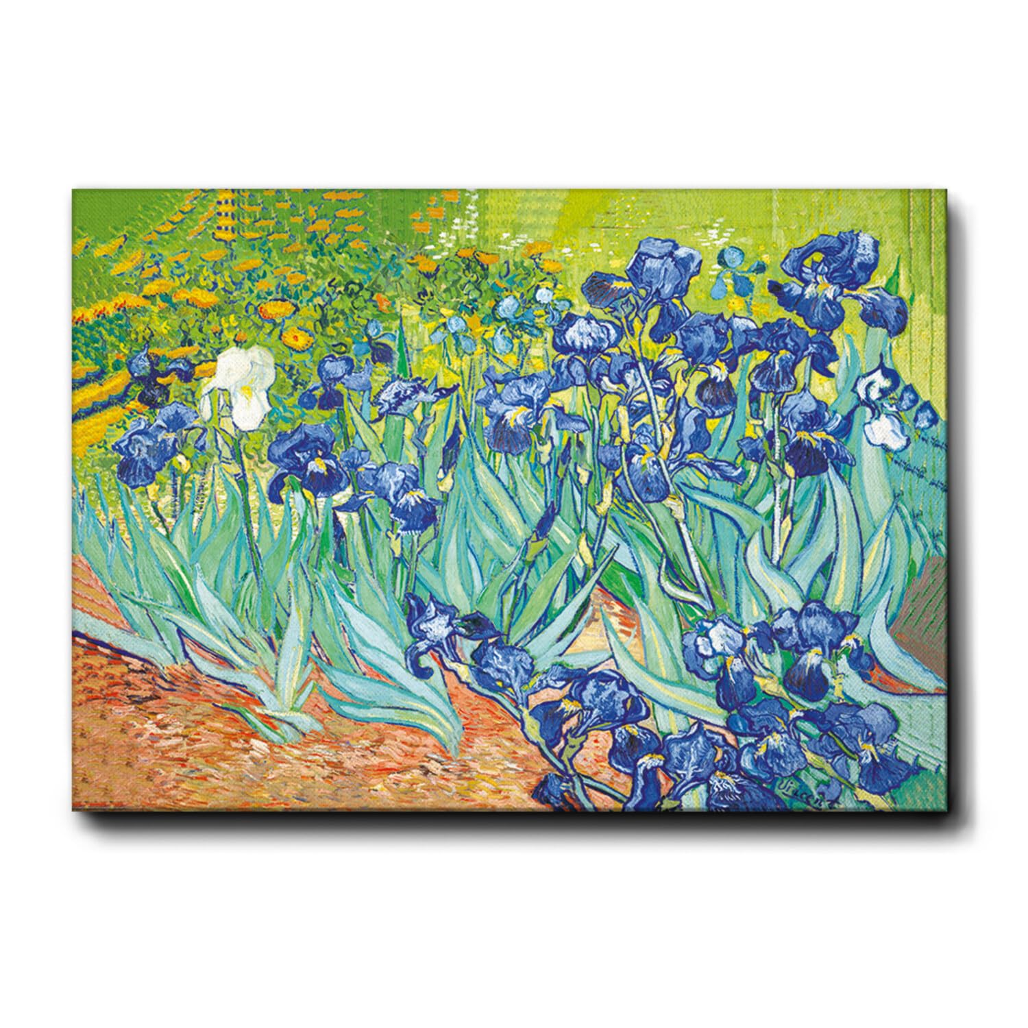 Tableau Vincent Van Gogh Iris Giallobus avec cadre en toile premium de 140x100 cm