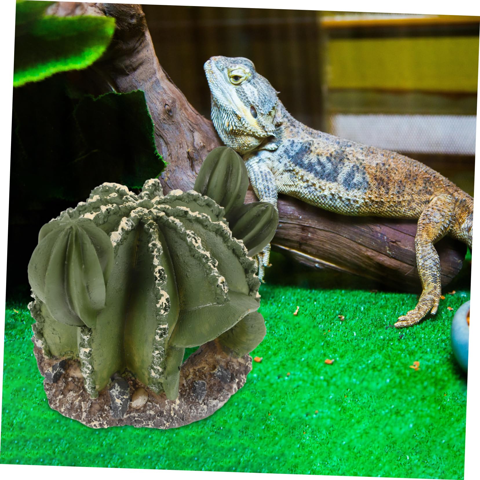 BESPORTBLE 3piezas Cueva para Reptiles Forma De Cactus Refugio Natural para Geckos Serpientes y Anfibios para Terrarios y