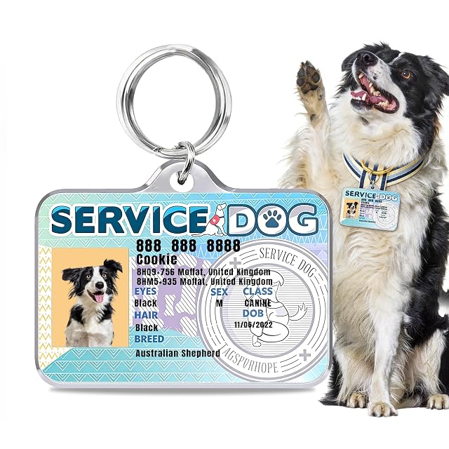 Mocessory Placa de identificación personalizada