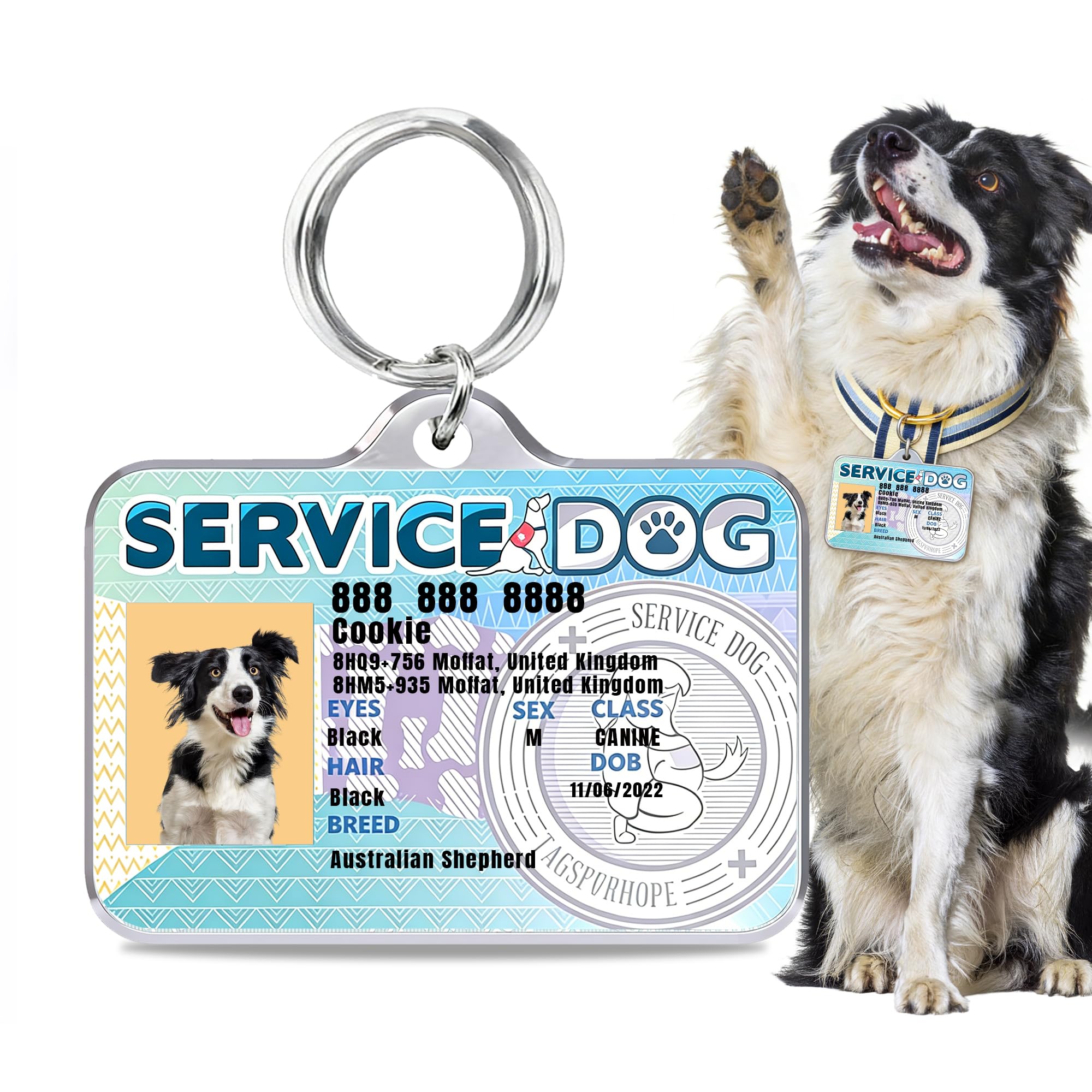 Stainless Steel Personalized Dog & Cat ID Tags - Fun Styles for Sporty Outdoor Pets - Custom Printed Name & Info for Collar Accessories-Service Dog B