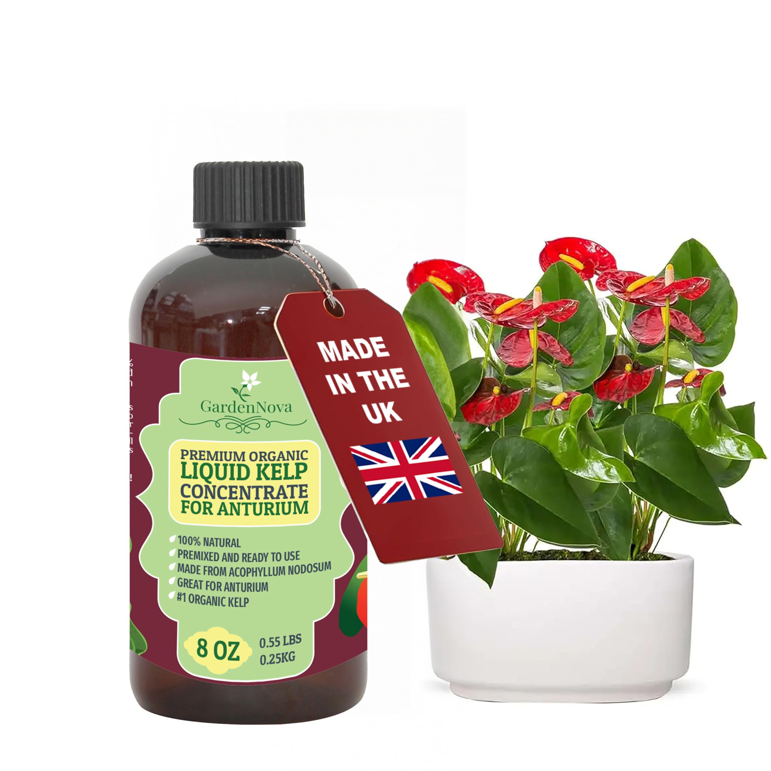GARDENNOVA Premium Organic Seaweed & Kelp Superfood for ANTHURIUM Plants - 8 oz - Liquid Kelp Fertilizer Concentrate (Makes 25 Litres)