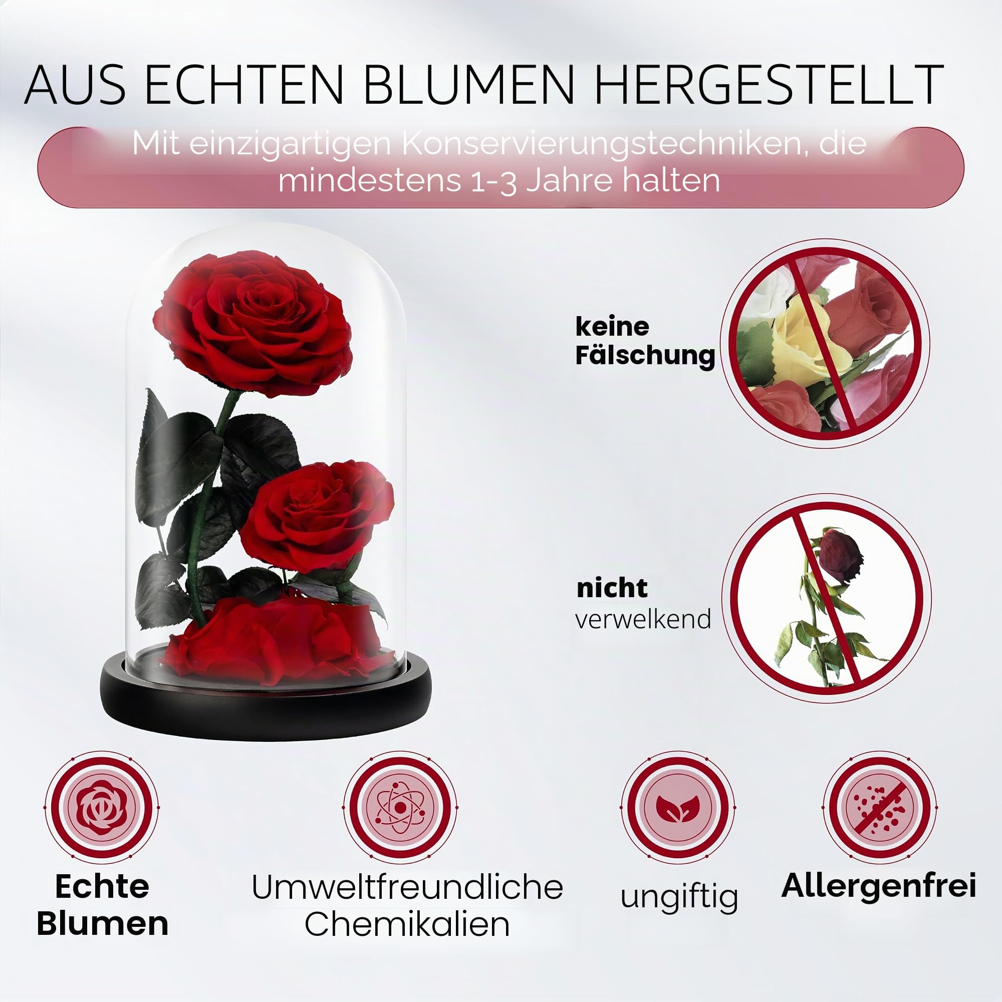 Ewige Blume in Glaskuppel: konservierte Rose Valentinstag, Muttertag, Geburtstag, Jahrestag, Hochzeit und Weihnachten