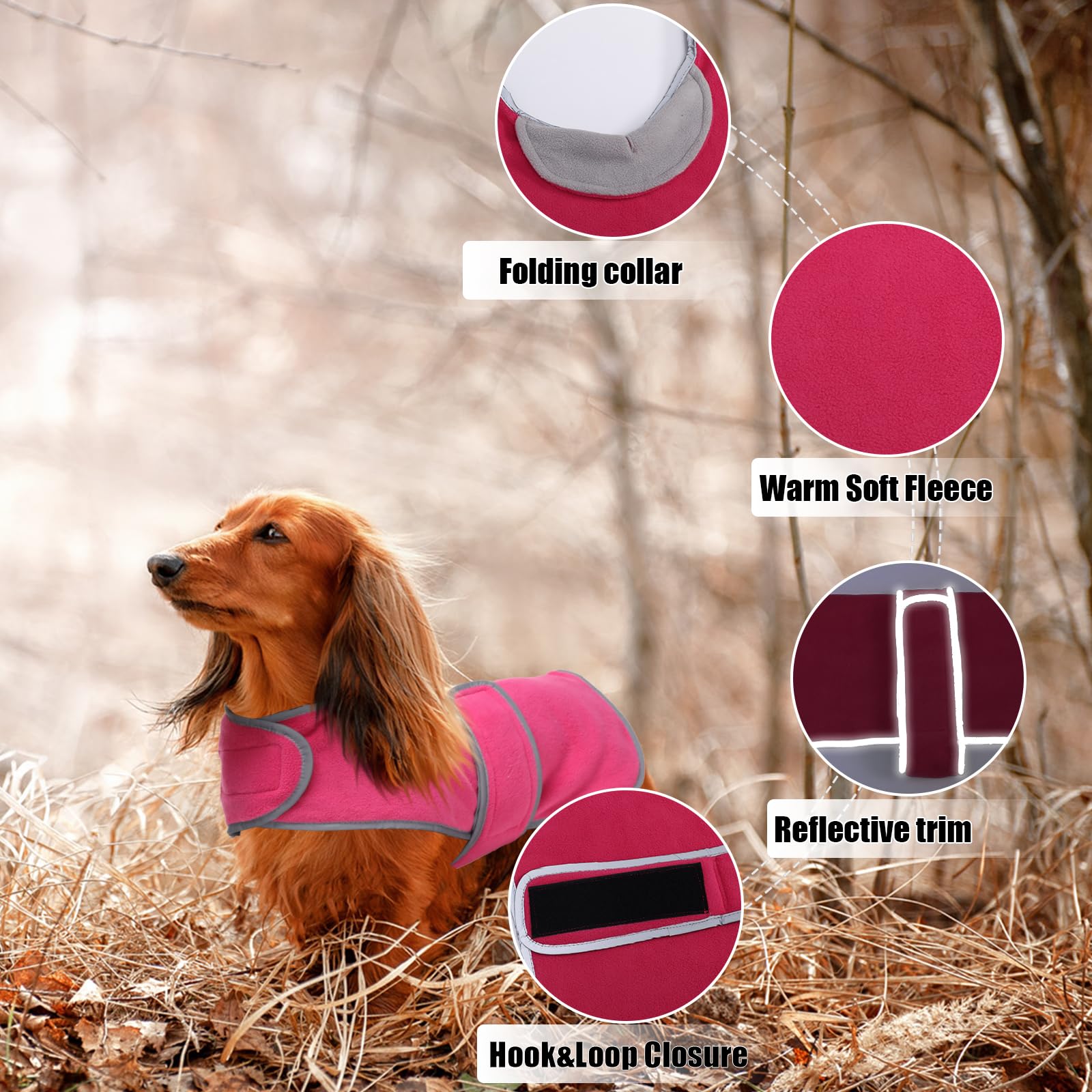 babepet Soft Dog Fleece,Dachshund Coat Miniature Dachshund Clothes with Leash Hole,Small Dog Jumper,Reflective,Foldable Collar Windproof,Ideal for Outdoor&Indoor-Pink-M - Image 2