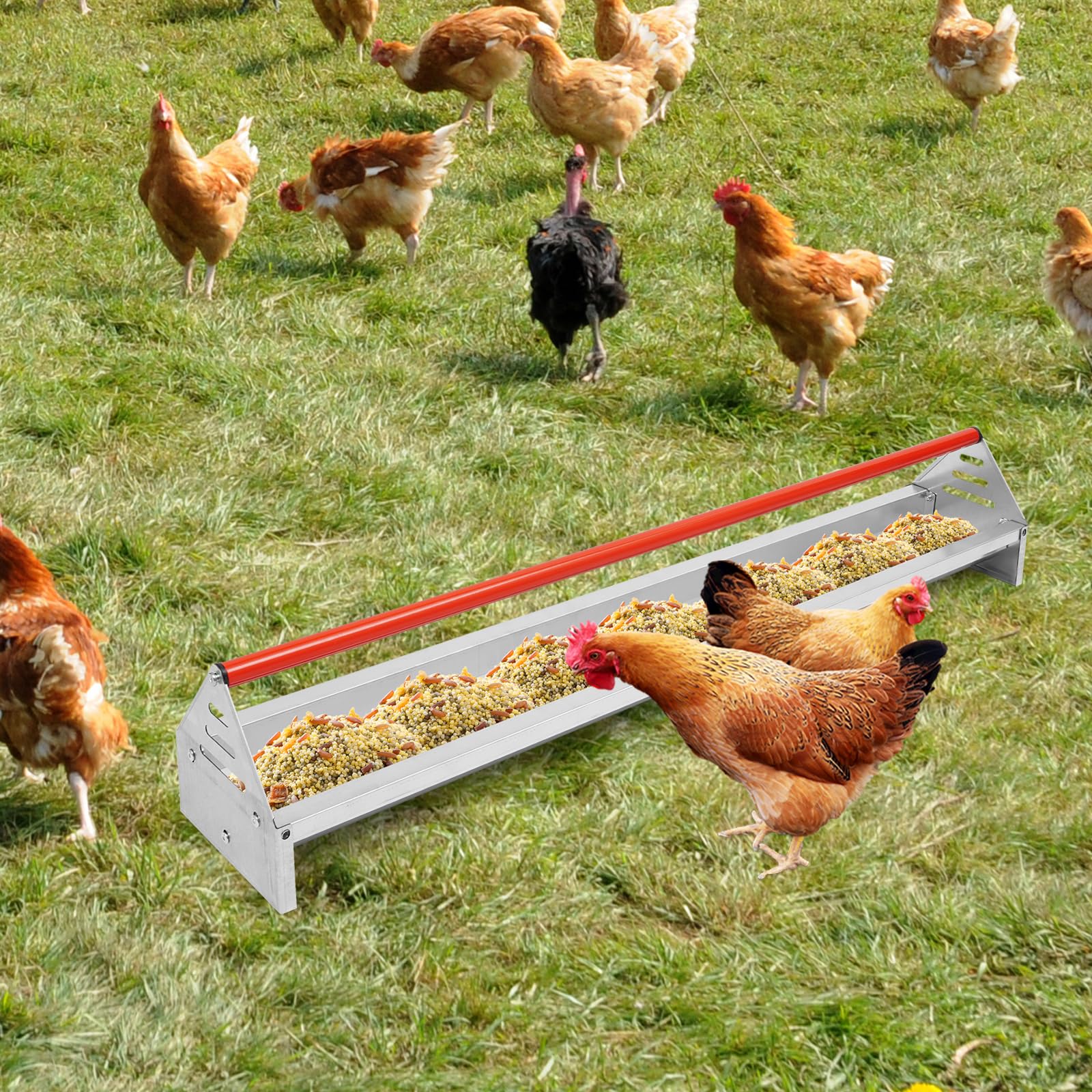 Comedero para pollos, 114,1 x 20,5 x 20,3 cm, con orificios de drenaje y barra transversal, comedero para pollos, patos, gansos, pavos