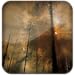 Pocket Trivia: Twilight (Series)