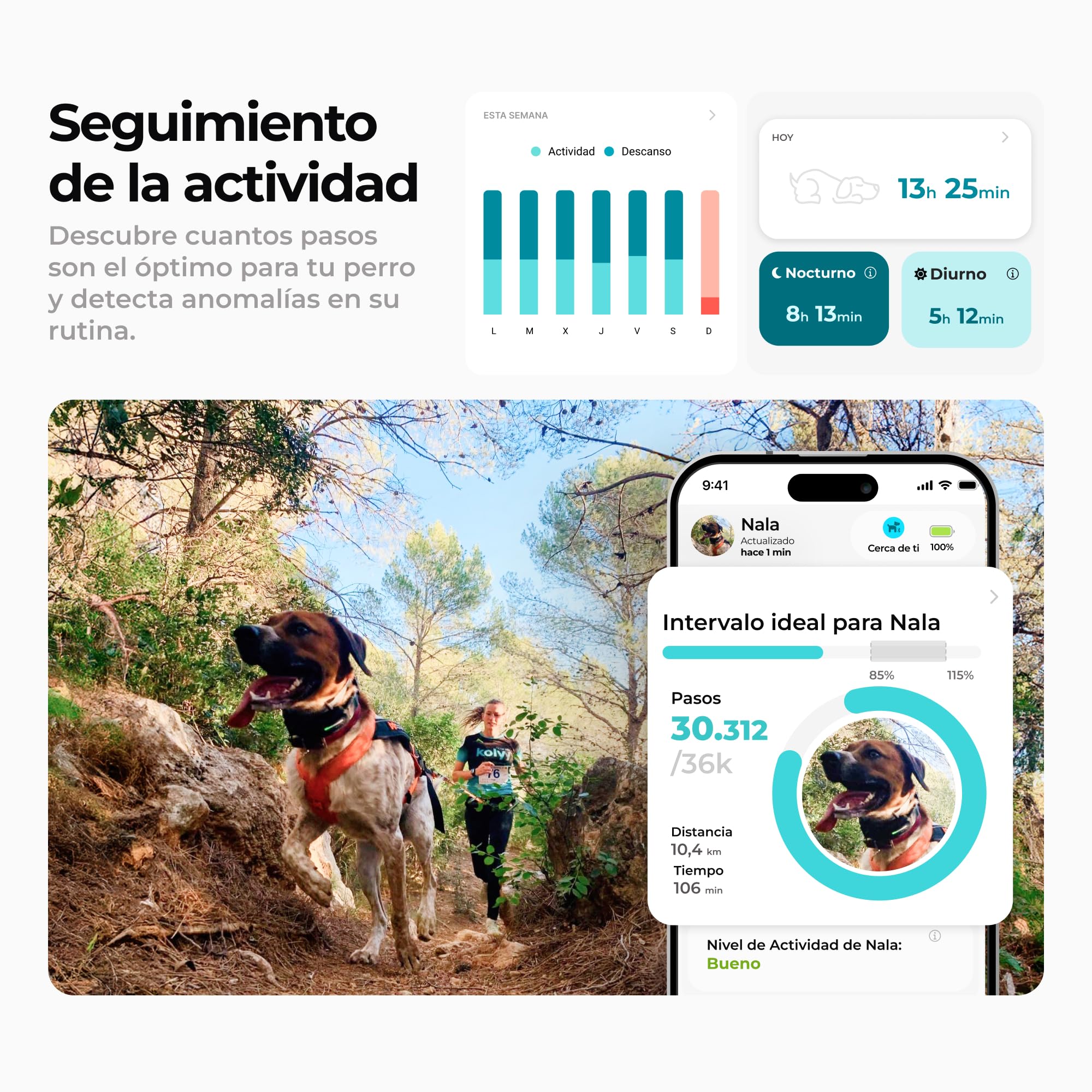 Series 2 - Collar GPS para Perros Control vía App - Localización Internacional en Tiempo Real - Salud Seguimiento - 3 Zonas Seguras - Hecho en España