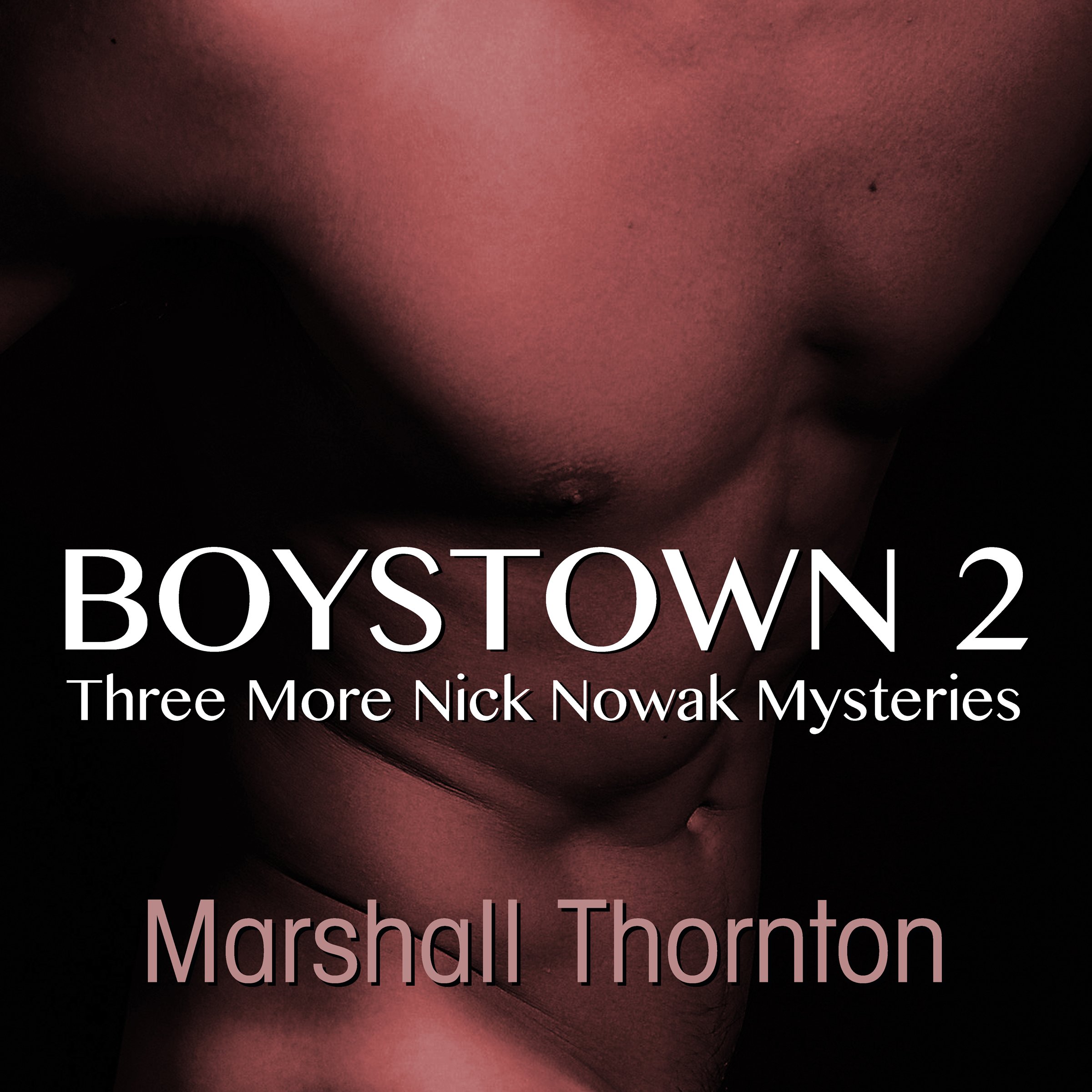 Cover art for Boystown 2