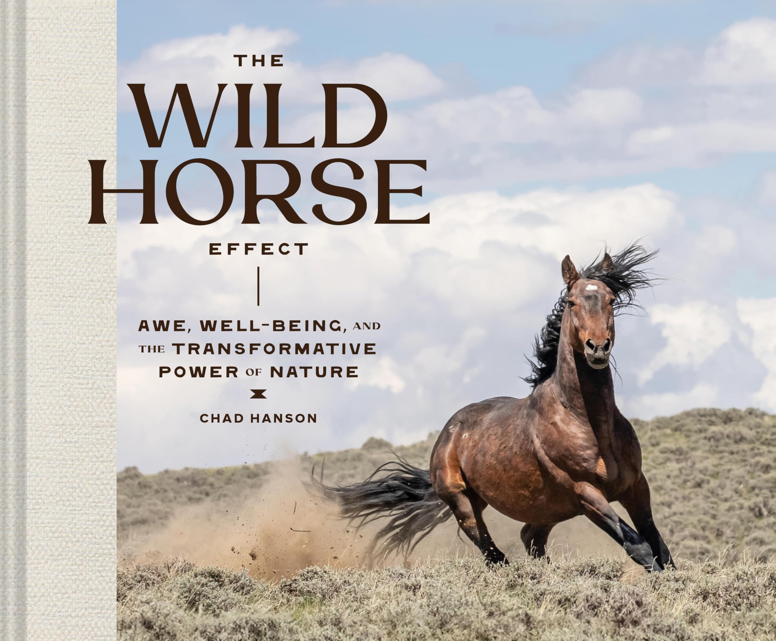The Wild Horse Effect: Awe, Well-Being, and the Transformative