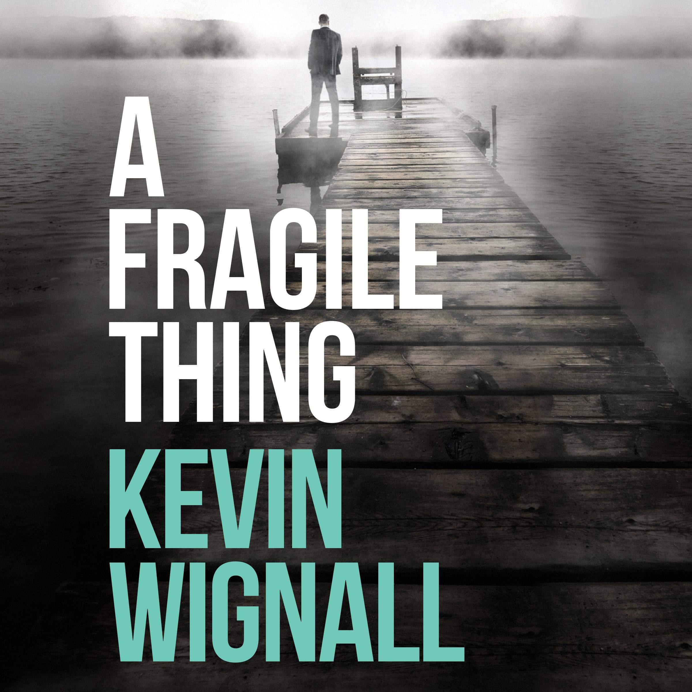 Cover art for A Fragile Thing