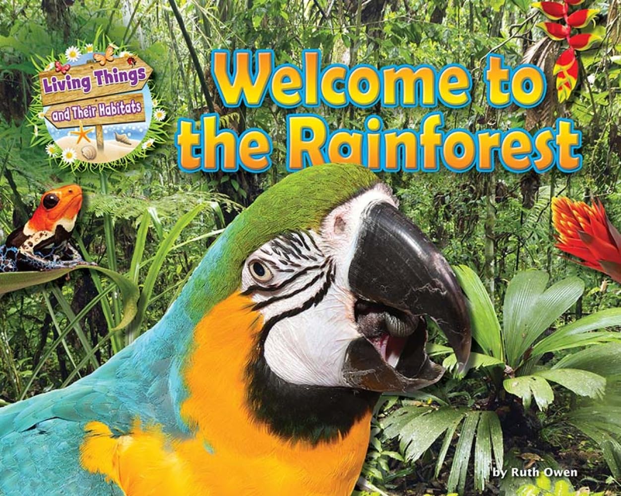 Honor Head - Welcome to the Rainforest - Paperback Book