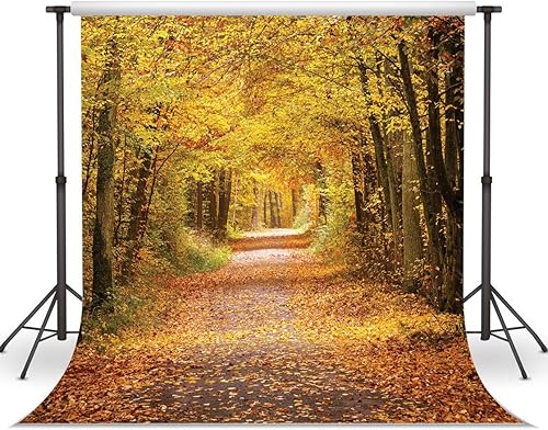 LYWYGG Fondo de fotografía de otoño de 10 x 10 pies con hojas amarillas llenas de árboles, paisaje de otoño, vinilo para fotografía de otoño, fondos