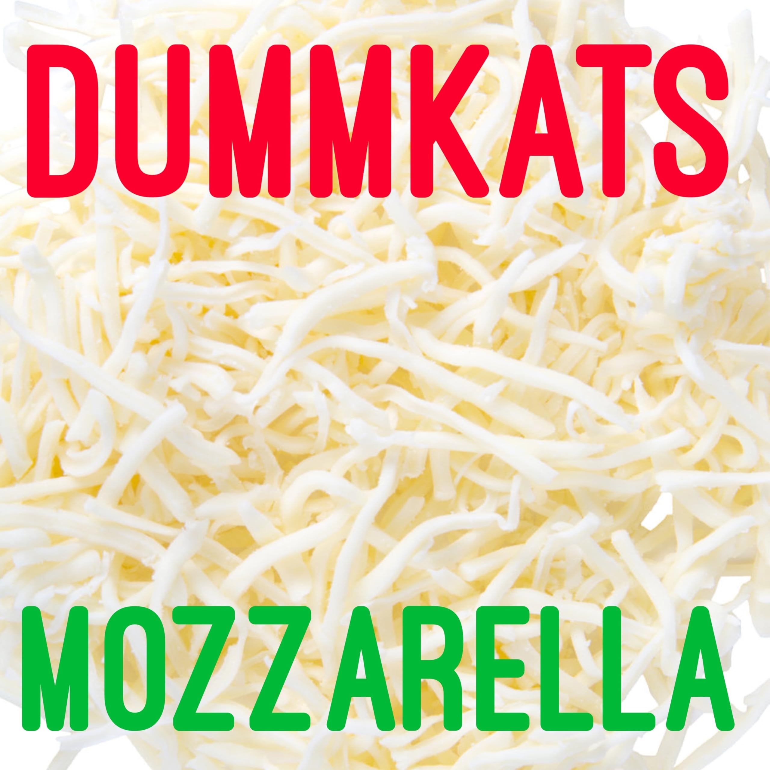 Dummkats