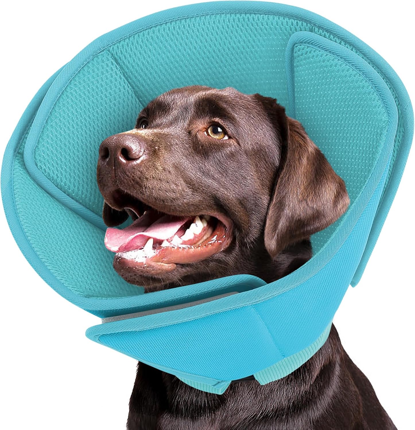 Queenmore Dog Cones for Large Dogs,Soft Dog Cone Stop Licking After Surgery, Adjustable Pet E-Collar Alternative for Wound Healing,LightBlue,X-Large