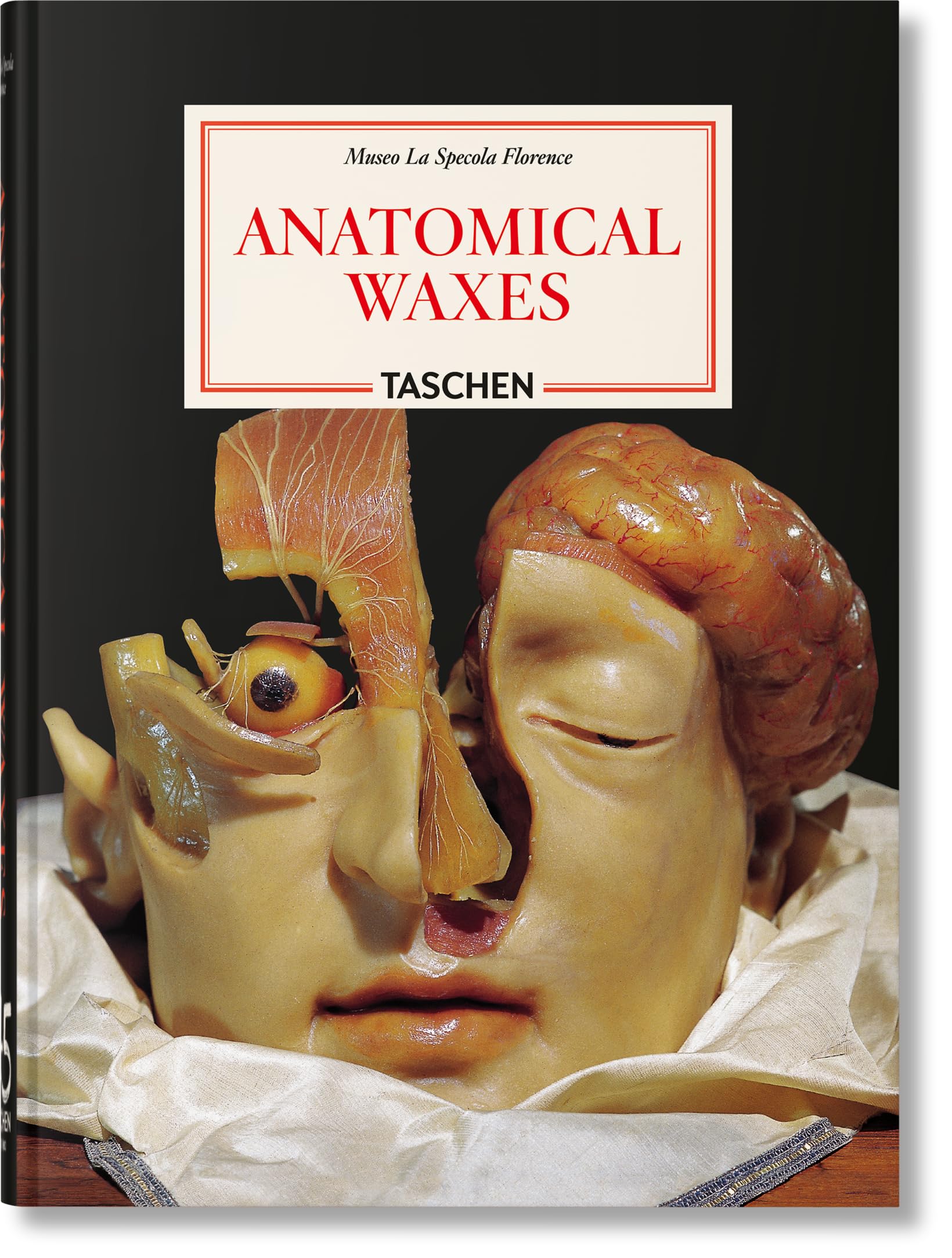 Anatomical Waxes. 45th Ed. (45th Edition)