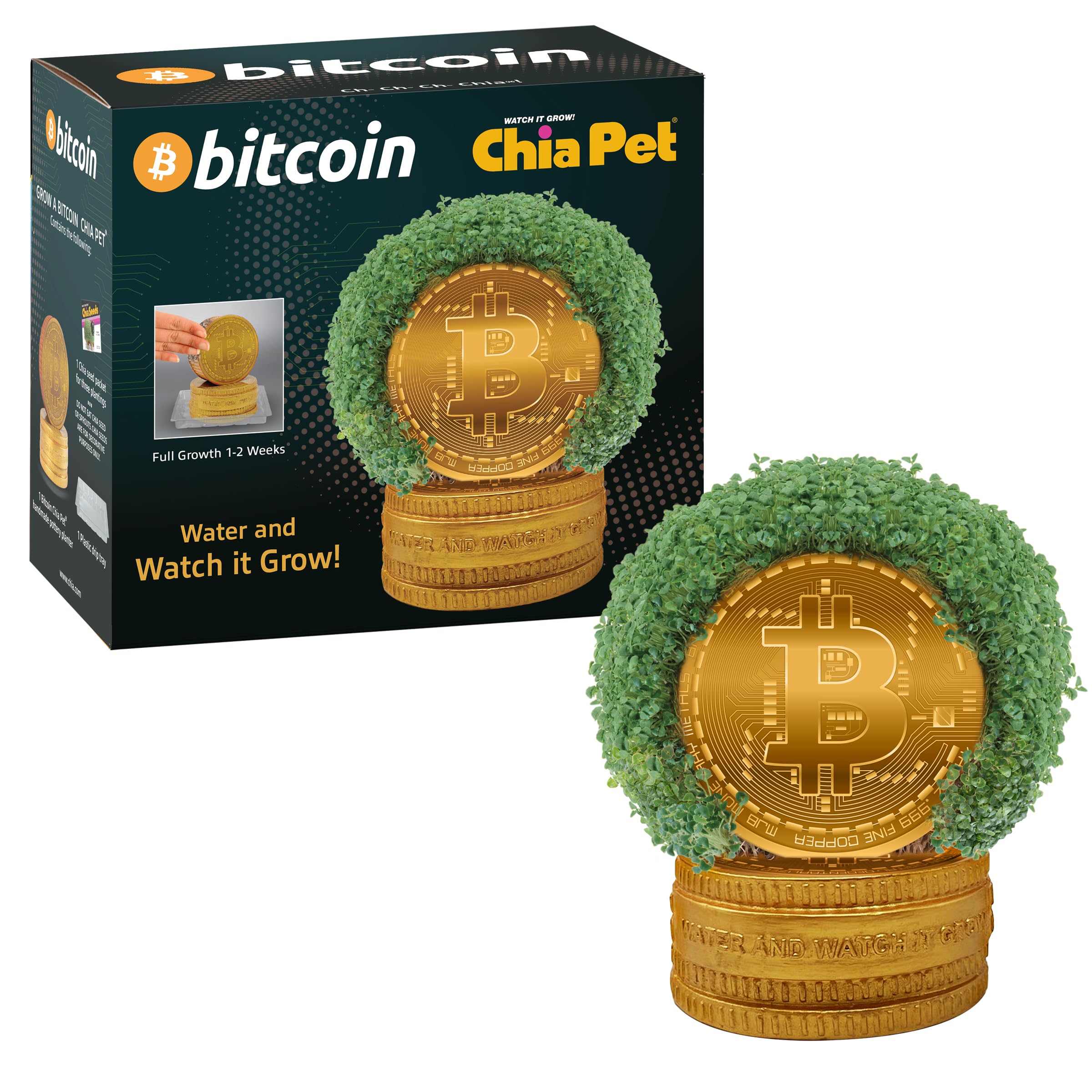 Amazon.com: Chia Pet: Freedom of Choice