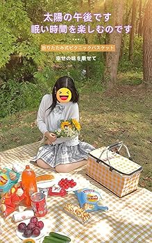 ピクニックバッグ Amazon｜小芝風花 弁当バッグ トートバック 断熱ランチバッグ