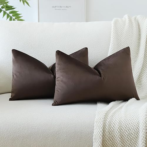 OTOSTAR Paquete de 2 fundas de almohada decorativas de terciopelo suave y sólido de 16 x 24 pulgadas, fundas de almohada lumbares, fundas de