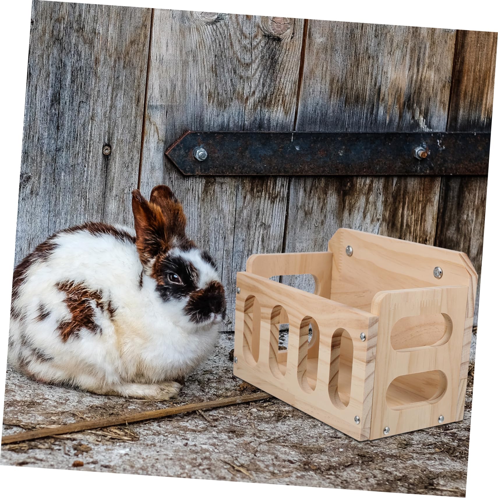 Râtelier à Lapins en Bois Khaki pour Cage, Design Fixe Anti-gaspillage