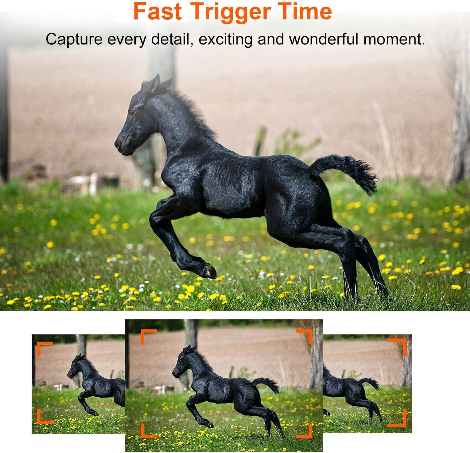 Limited Stock Folgtek 3 Pack 24MP 1296P Video Trail Camera Hunting Cam Time Lapse Observation with Invisible Infrared Night Vision IP66 Waterproof & Fast Trigger Time, Wide Angle for Wildlife Best Quality 🔥 Folgtek 3 Pack 24MP 1296P Video Trail Camera Hunting Cam Time Lapse Observation with Invisible Infrared Night Vision IP66 Waterproof & Fast Trigger Time, Wide Angle for Wildlife