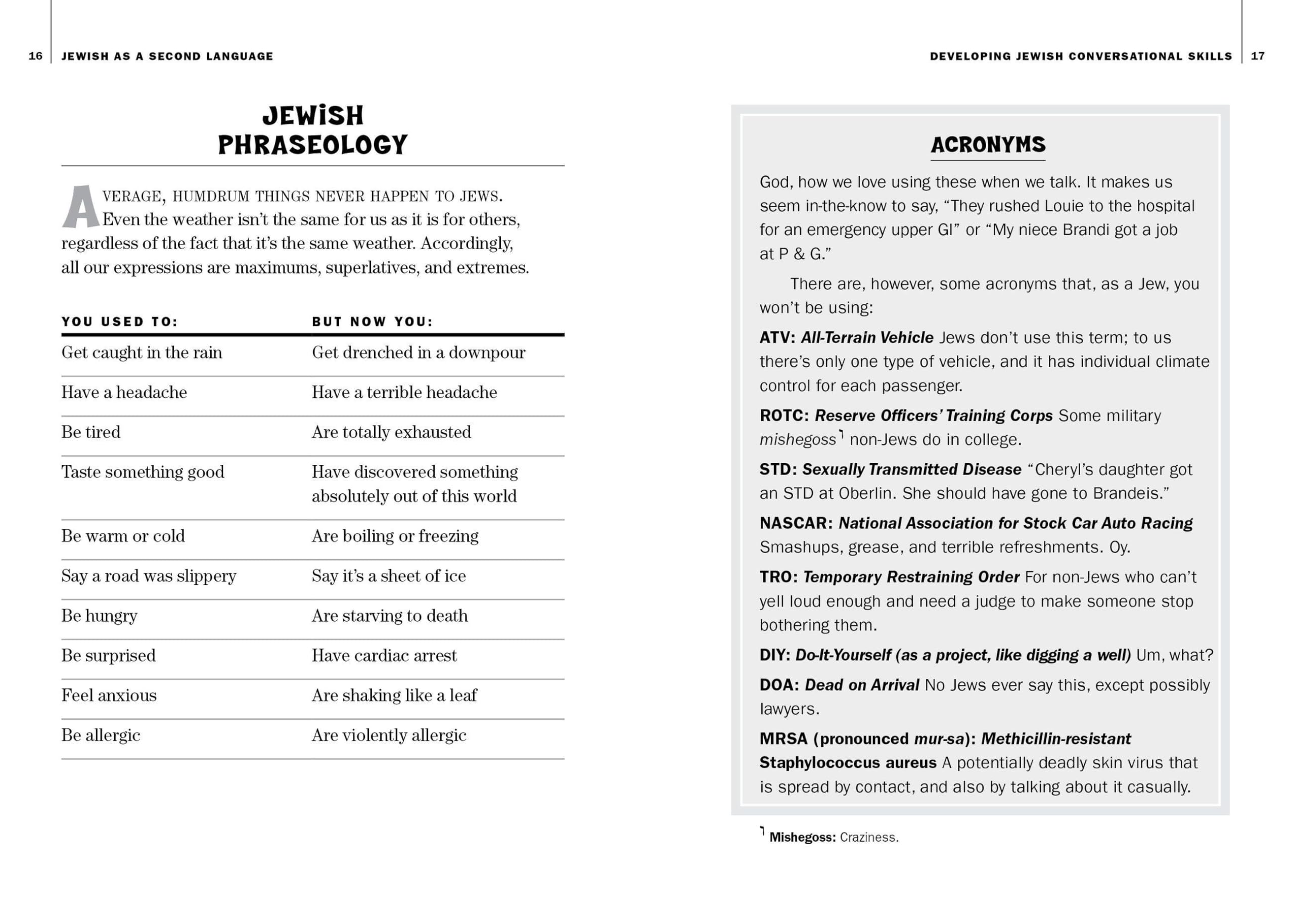 Jewish as a Second Language: How to Worry, How to Interrupt, How to Say the Opposite of What You Mean