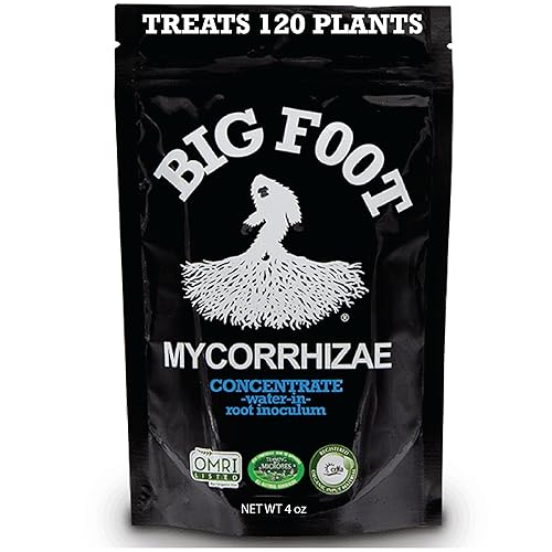 Big Foot Mycorrhizae for Plants, Potted Plants and Gardens - Concentrate Fully Dissolves in Water, Year Round Organic Fertilizer for Root Growth and