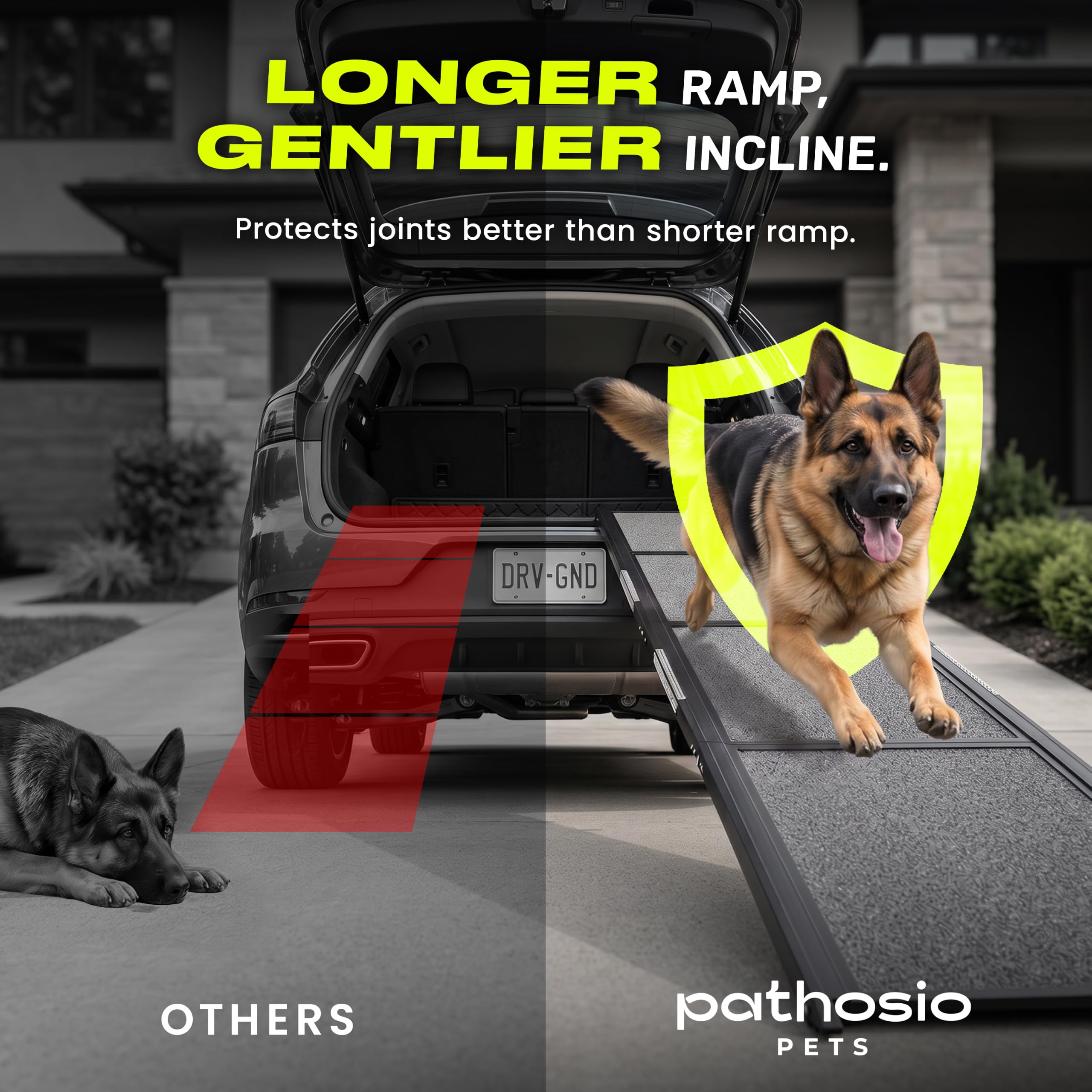 Rampa portatile per cani per auto, rampa pieghevole per auto, per camion, SUV, letto alto e divano con piedini antiscivolo e tappeto di trazione, per razze da piccole a grandi (160 cm di