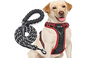 Thunder Leash Harness: Enjoy Effortless Control and Safety on Your Canine Adventures