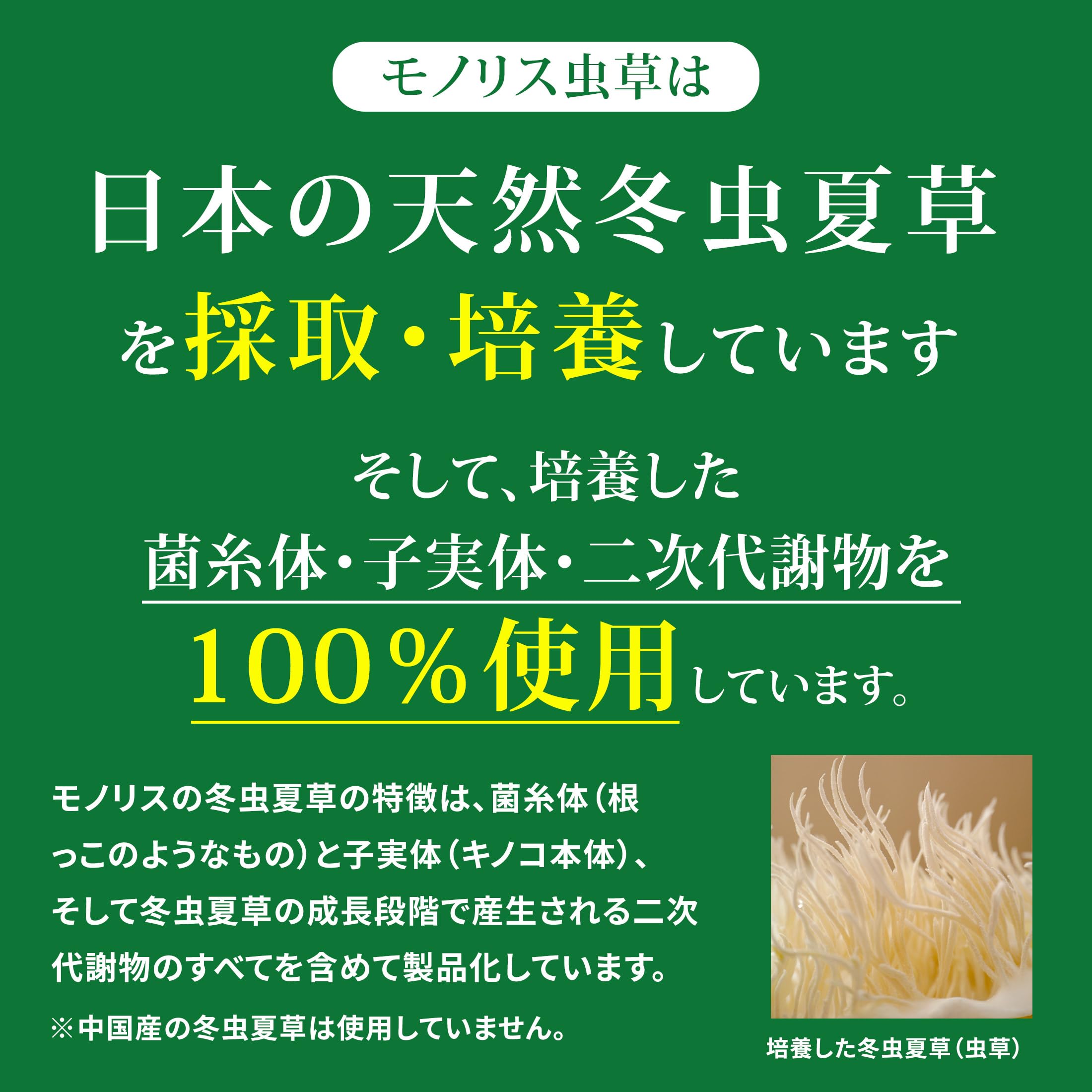 Amazon.co.jp: モノリス虫草 冬虫夏草 サプリ 120錠 | 国産冬虫夏草100