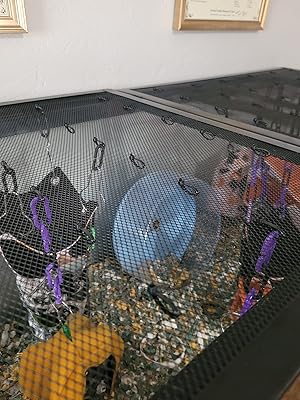 Buy Exo Terra Screen Cover For Hinged Door 60 Breeder 75 Gallon Online In Vietnam B00lv41v84