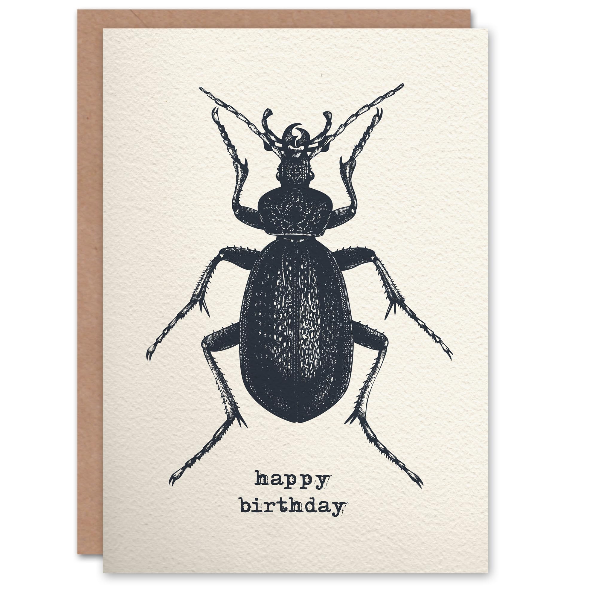 Artery8 Beetle Drawing Vintage Style Creepy Crawly Birthday Card