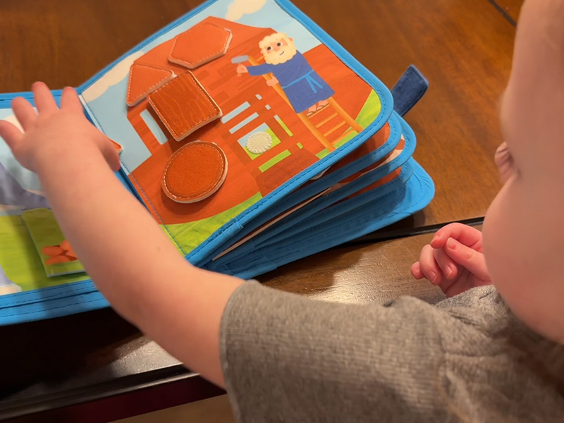 hahaland Noah's Ark Toy Busy Book for Toddlers 1-3 - Baptism Gifts for Boys Girls - Montessori Toys for 1 Year Old, Sensory Early Learning Educational One Year Old Boy Birthday Christian Church Toys
