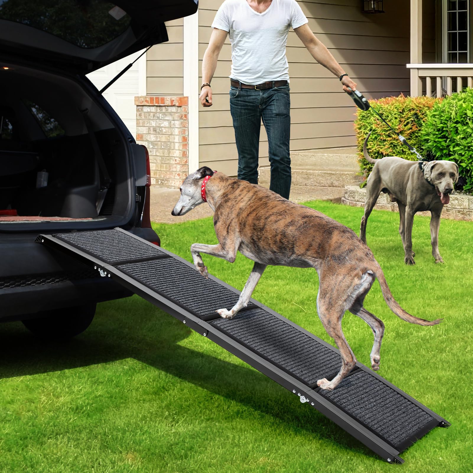 The Fellie Große Hunderampe Auto Klappbar 160CM, Hundetreppe Mit Rutschfester Teppichoberfläche Für Große, Mittlere Und Kleine Hunde, Tragbare Hunderampe Für SUV & LKW, Hundetreppe Bis Zu 100KG