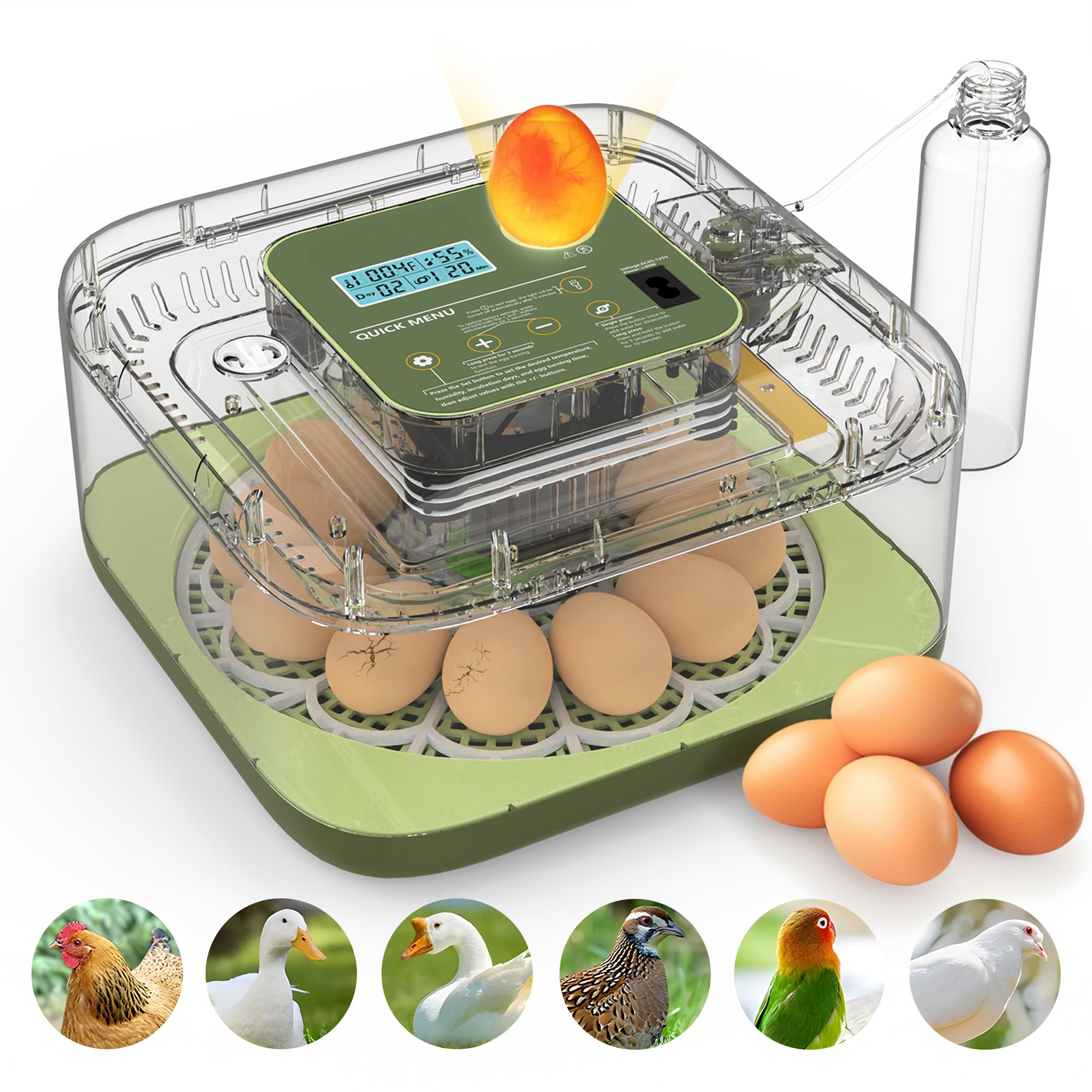Egg&Co Start 12 – Incubadora automática 12 huevos gallina (36 codorniz). Control preciso de humedad, volteo automático, botella y ovoscopio incluidos. Ideal para principiantes y expertos.