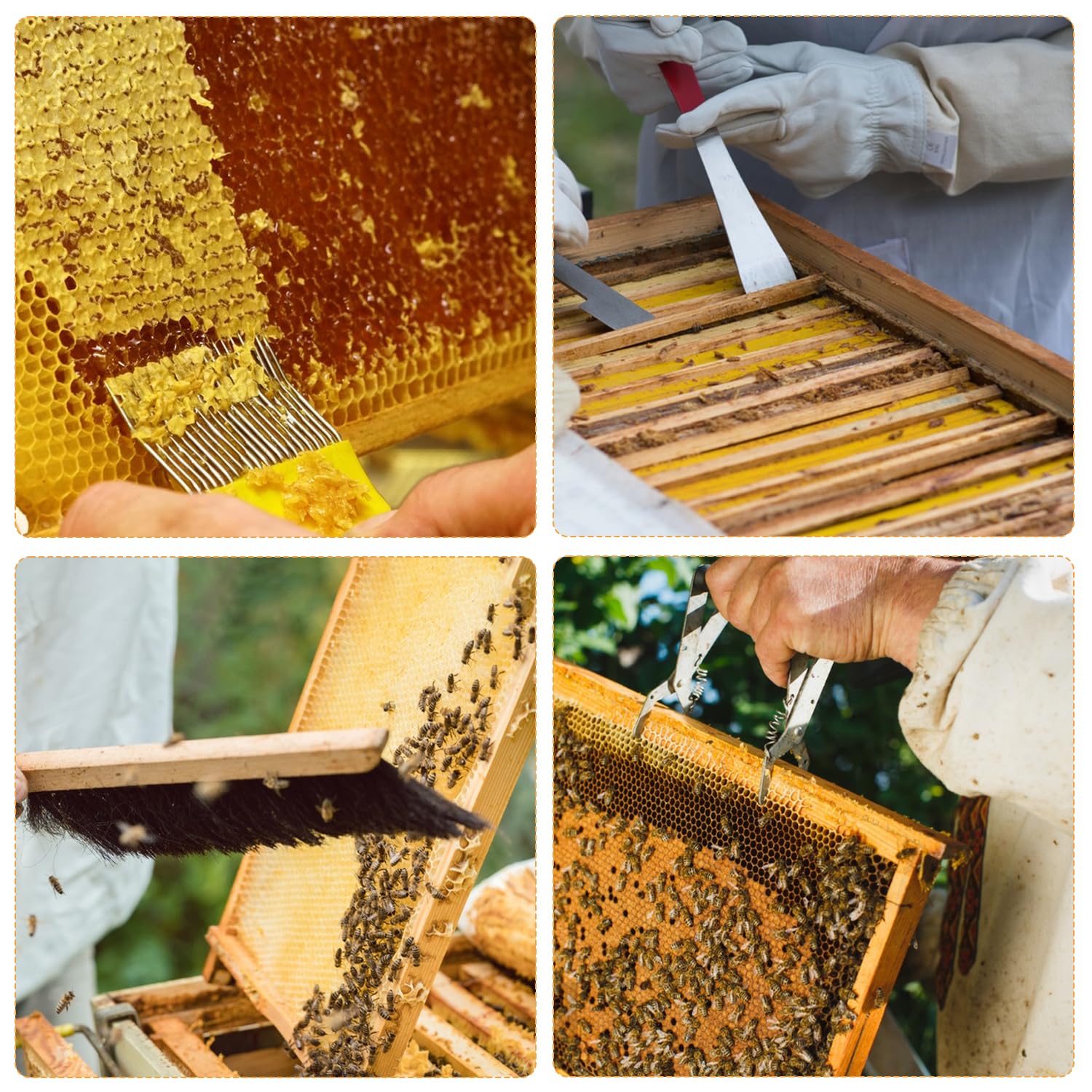 Set di accessori per apicoltura, 12 pezzi, con gancio a J, spazzola per api, morsetto per telaio, accessori per apicoltura, strumenti per principianti e professionisti