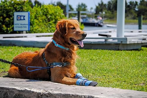 Vista 3 de Bark Brite Lightweight Neoprene Paw Protector Dog Boots Designed for Comfort and Breathability in 5 Sizes (Blue Md)