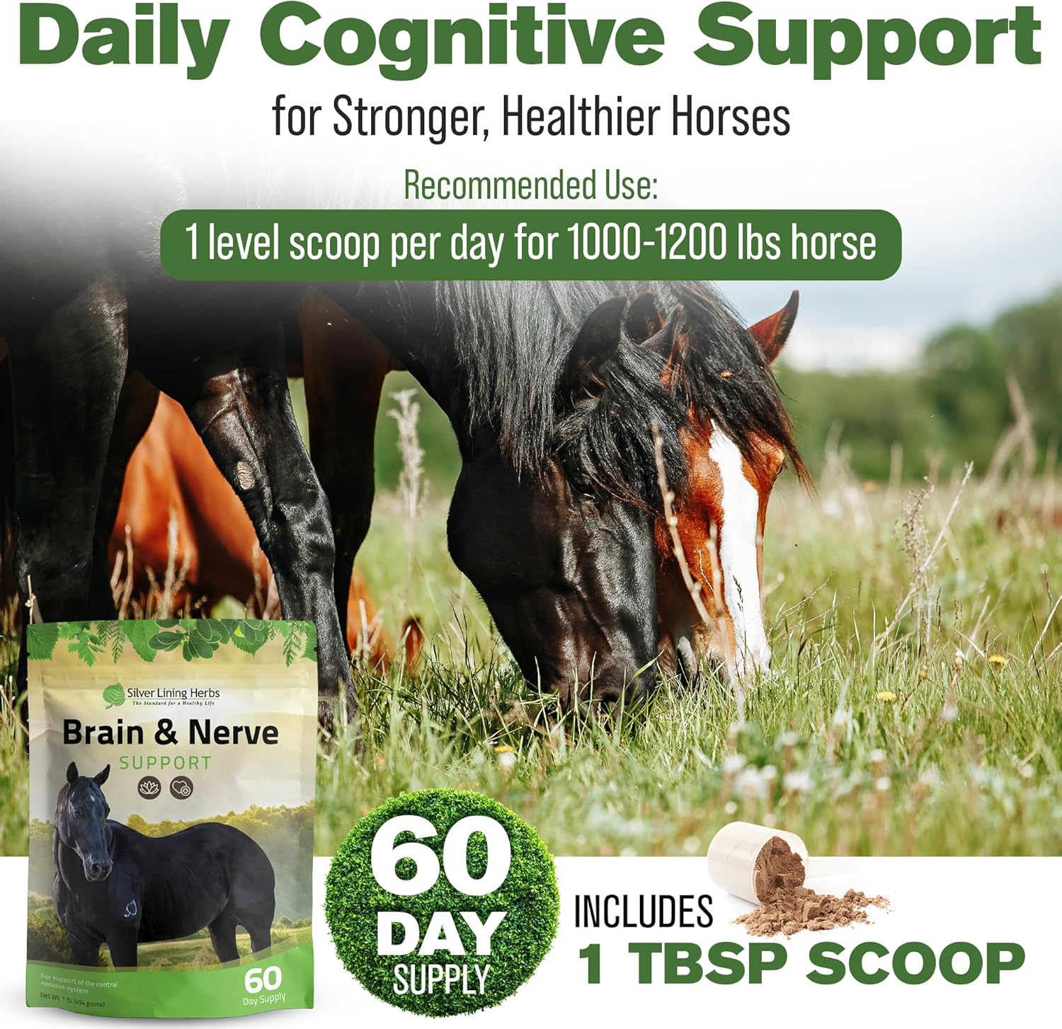 Silver Lining Herbs Brain & Nerve Support Supplement for Horses - Horse Supplements for Focus, Mental Health & Brain Support - Contains Herbal Blend of Ginkgo, Gotu Kola, & More - 1 lb 60-Day Supply