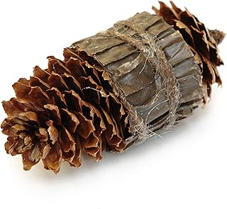 Varde Ovne KS2935 Varde Zapfenzünder El Tarugo - 90 Stück