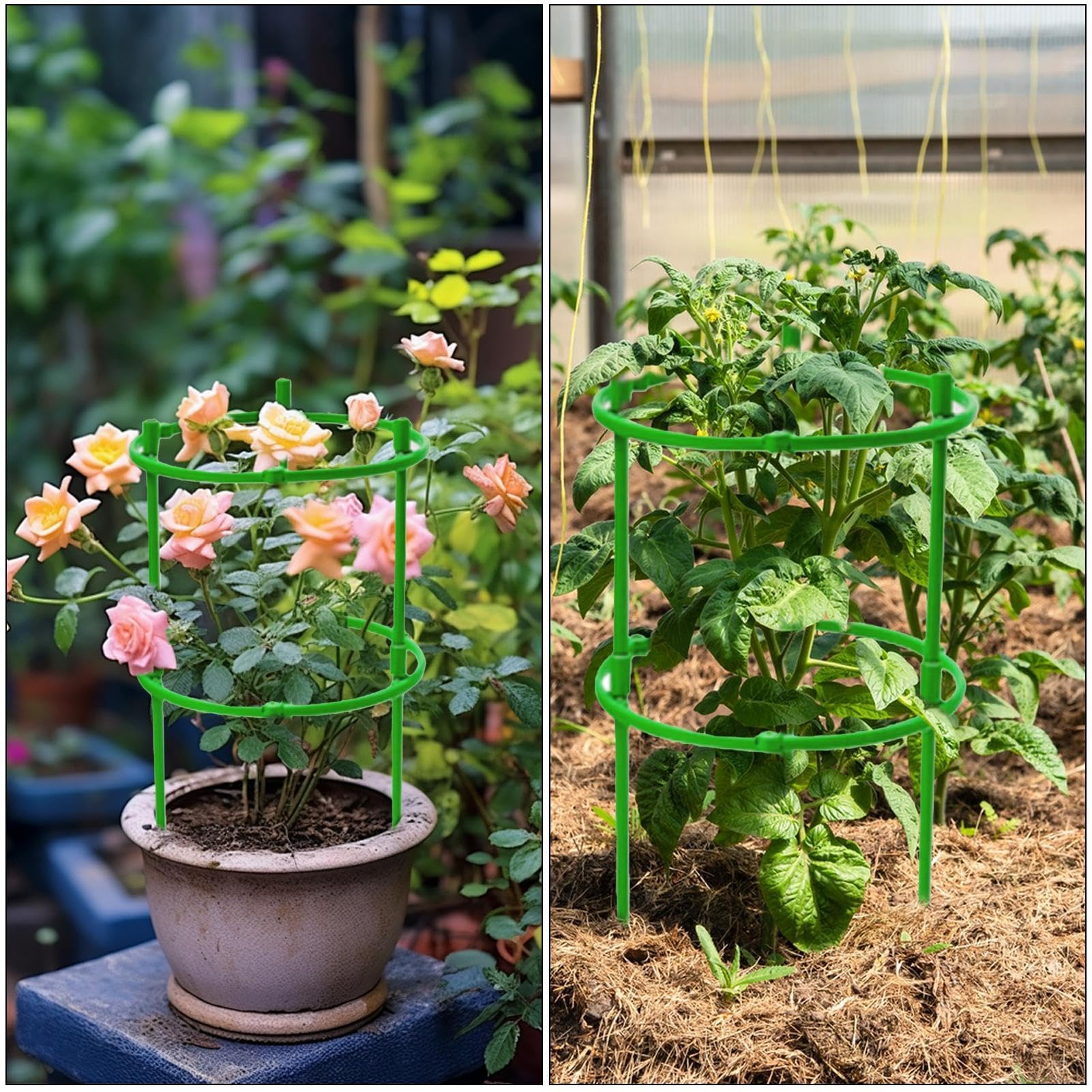 Supporti Per Piante Da Orto - 3 Gabbie Regolabili 130cm Per Pomodori E Rampicanti - Foto 11